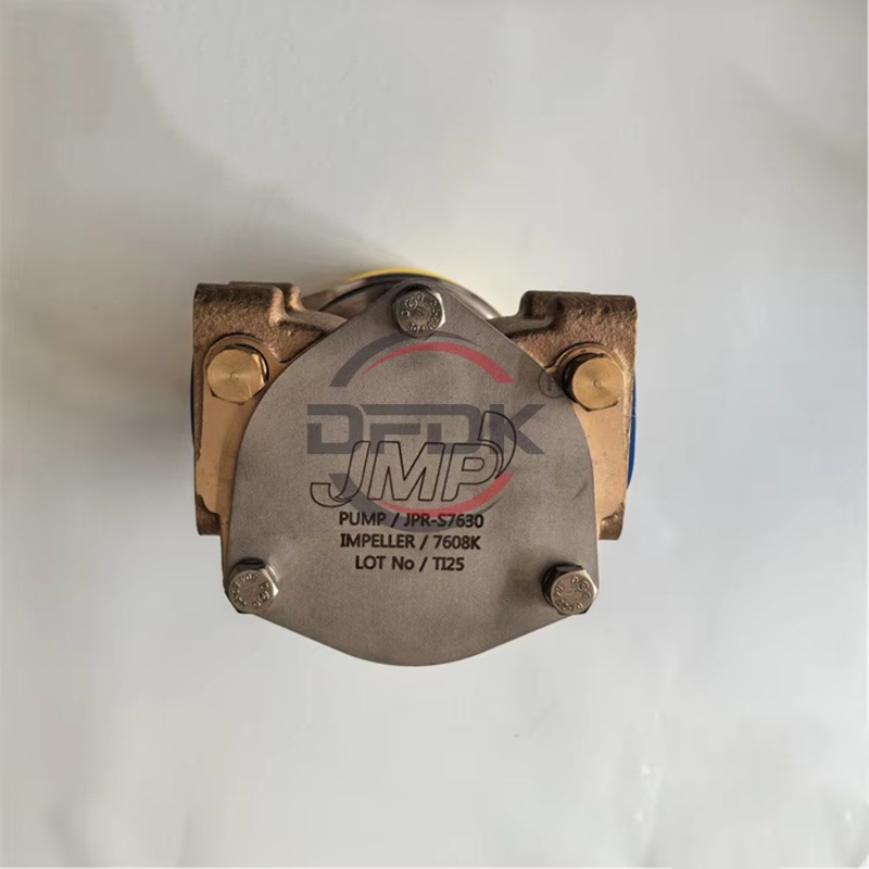 Pompa dell'Acqua per Motore Di - Diesel Water Pump recensione e prezzo