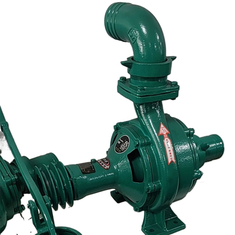 Pompa Centrifuga a Doppia Turb - Diesel Water Pump recensione e prezzo