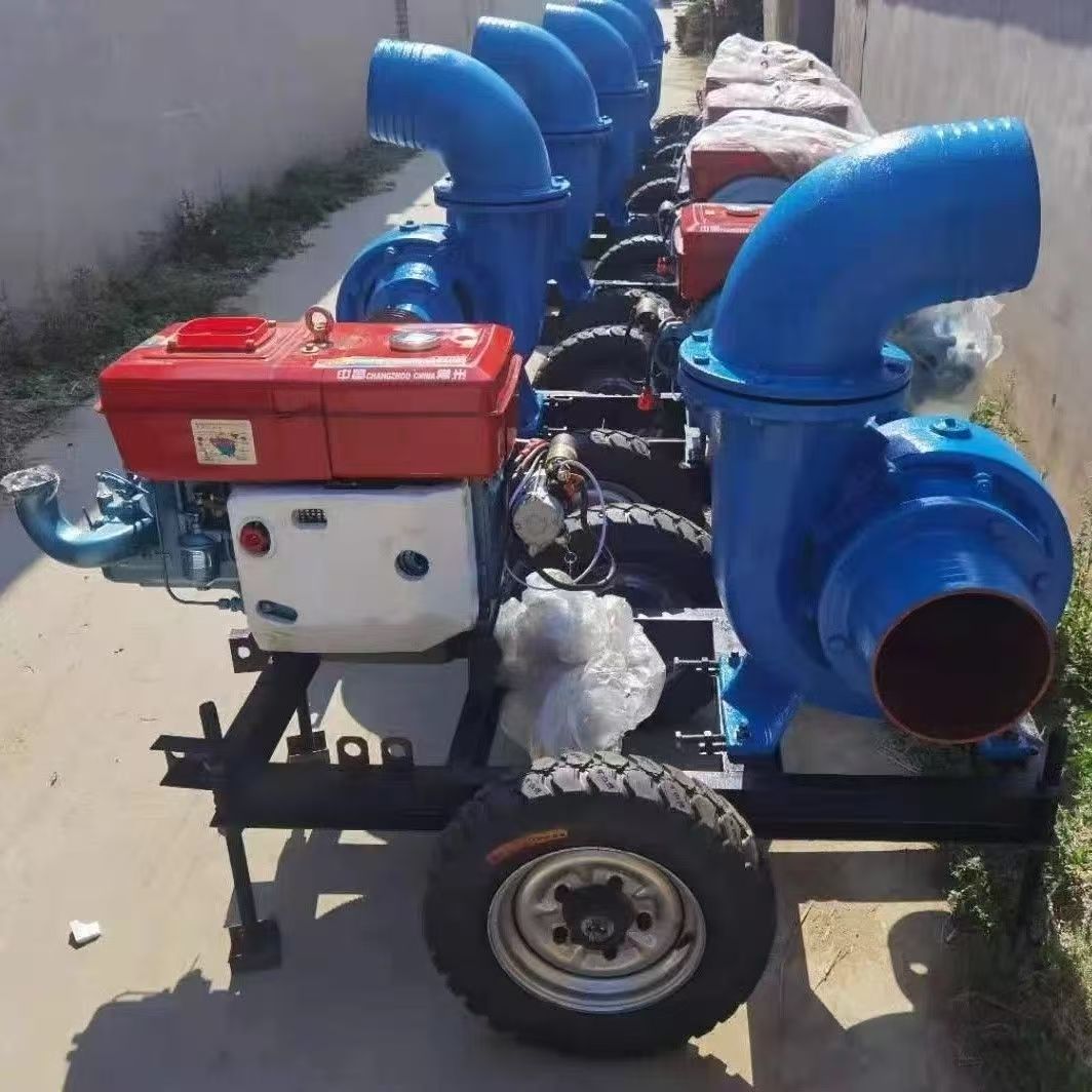 Pompa dell'acqua del motore di - Diesel Water Pump recensione e prezzo